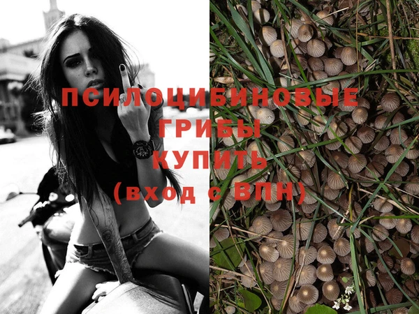 2c-b Арсеньев
