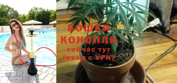 spice Алексеевка