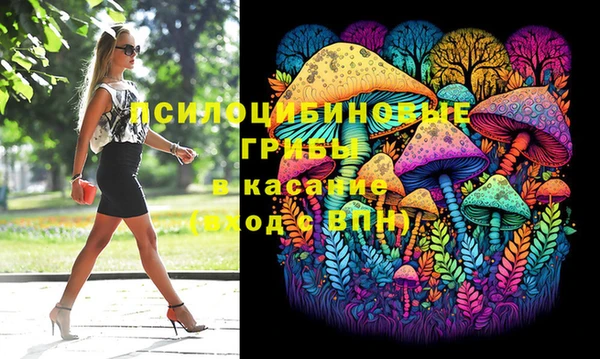 spice Алексеевка