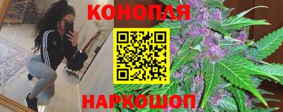 МДПВ Ачхой-Мартан