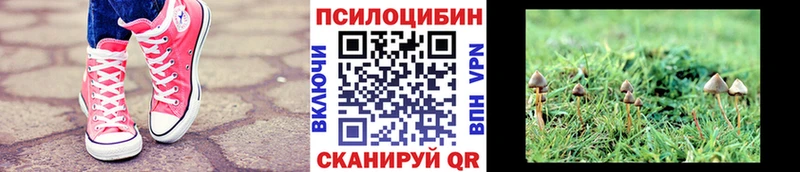 где продают   Краснотурьинск  Псилоцибиновые грибы Magic Shrooms 