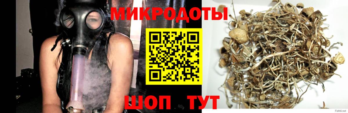 Галлюциногенные грибы прущие грибы Краснотурьинск
